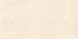 Carreaux de porcelaine imprimés numériques de beau modèle de conception européenne fabriquant en Inde pour la salle de séminaire. - Product Image 3