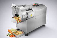 Commerciële Groente Fruit Snijmachine 550W Motor Gear Multifunctionele Verwerkingsinstallaties Verwisselbare Messen 220/380V
