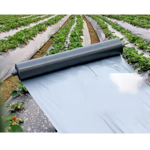 Les films de paillis de couleur pour différentes cultures contrôlent les mauvaises herbes régulent la température du sol et améliorent les conditions de croissance dans les champs - Product Image 2