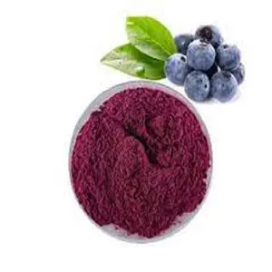 Natural Berry Extract Powder Wholesale Supply from Best Brand Of Herbal Powder