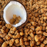 IBA mete Brasil Caramelized dengan potongan kelapa-camilan mete panggang Premium rasa tropis renyah manis dari Brasil