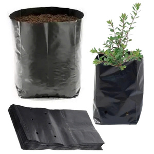 Sacs de pépinière en PE noir durables pour applications de plantation temporaires, provenant d'un fournisseur vietnamien - Product Image 1