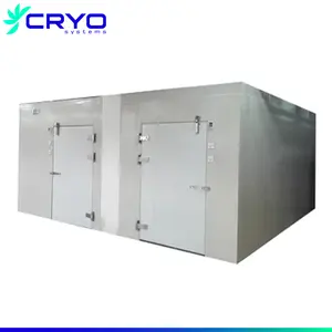 cold storage chambers cooling chamber for vegetables fresh apple vegetable refrigerator storage