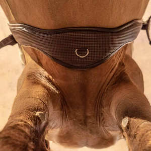 Cincha de Doma Profesional Ajustable de Cuero para Caballos, Equipo de Equitación Ecuestre Personalizable de Alta Calidad - Product Image 6