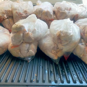 จำหน่ายไก่ทั้งตัวแช่แข็งสด ได้รับการรับรองฮาลาล สำหรับขายส่ง - Product Image 1