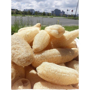 Best Selling Raw Loofah <b>Sponge</b> a <b>Natural</b> Material for Making Bath <b>Sponge</b> Handmade <b>Sponge</b> Made in Vietnam - Product Image 2
