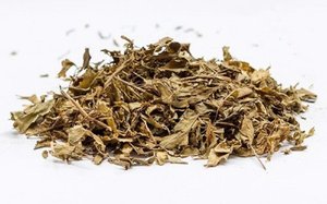ใบโพลีสเซียสแห้งจากเวียดนาม วัตถุดิบสมุนไพรสำหรับผสมชาและยาสมุนไพรธรรมชาติ - Product Image 2