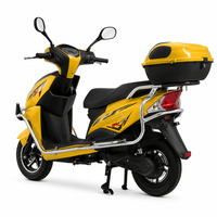 Dealer Supply TIKING 1000W Electric Motorcycle with 45km/h Top Speed for Street Commuting