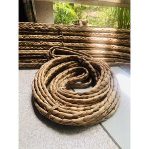 Jacinto de agua retorcido de alto estándar a un precio asequible, listo para exportar en grandes cantidades - Product Image 3