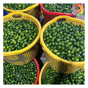 Puré de jugo de Calamansi natural IQF Zumo de fruta congelada Puré de Calamansi concentrado IQF - Product Image 2