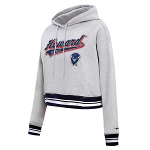 Sudadera con capucha personalizada Howard University BISON, forro lavado sólido Premium HBCU, bordado de serigrafía personalizado, 100% algodón - Product Image 3