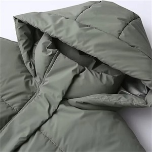 Chaqueta acolchada cálida de manga larga a la moda para mujer de principios de otoño, Chaqueta de algodón laminado con capucha - Product Image 2