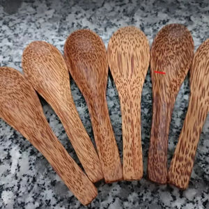 Cuchara para servir cáscara de coco | Mayorista rústico y ecológico - Product Image 1