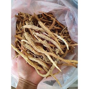 Dangshen OEM ผู้ผลิตขายส่ง Ngoc Linh โสมที่มีคุณภาพสูงจากเวียดนาม - Product Image 2