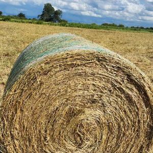 ตาข่ายโพลีโพรพิลีน 100% ป้องกันรังสียูวี ความทนทานสูง สำหรับมัดหญ้าอัลฟัลฟ่า กันน้ำและเป็นมิตรกับสิ่งแวดล้อม - Product Image 3