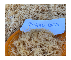 Mousse de coton séchée Organique Naturelle Pure Vegan Superfood en vrac Vente en gros sans OGM Sans gluten Wildcrafted Vietnam Premium Expor - Product Image 5