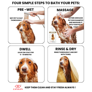Shampoo de toilettage Aniclean à formule améliorée pour tous les types de chiens, transforme la fourrure terne et sèche en une fourrure douce et éclatante - Product Image 3