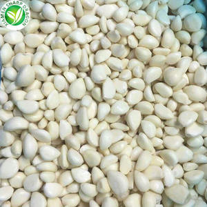 Vente en gros Ail blanc pelé en vrac IQF Gousses simples Légumes de serre surgelés - Product Image 3