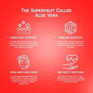 Bebida de aloe vera con jugo de Granada Botella de vinut de 16,9 floz (paquete de 12) Muestra gratis Lista para beber Exportación mundial - Product Image 4