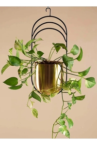 Maceta moderna de hierro dorado con soporte negro, maceta redonda colgante para decoración del hogar, soporte para plantas, maceta hecha a mano de Metal indio. - Product Image 4