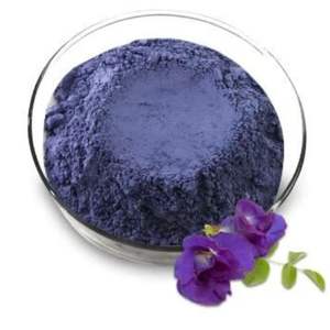 Poudre de fleur de pois papillon biologique certifiée OEM, idéale pour les boissons au thé, les cosmétiques et la fabrication de suppléments - Product Image 5