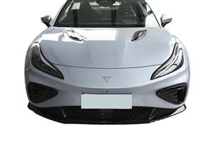 Voiture de sport électrique pure à grande vitesse, 2 portes, 4 places, toit rigide, véhicule sportif à énergie nouvelle premium à vendre - Product Image 6