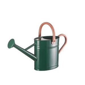 Petit arrosoir de jardin vert Seau d'arrosage décoratif pour le jardin domestique - Product Image 4