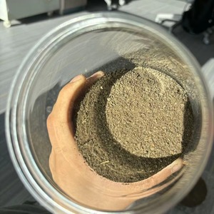 Repas de tournesol de haute qualité pour l'alimentation des animaux - Product Image 2