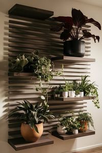 Top vente 2024 ornements en bois naturel faits à la main tenture murale étagère de maison pour le mur et la décoration intérieure - Product Image 3
