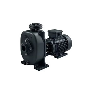 Pompe auto-amorçante monobloc robuste de qualité supérieure SHMP-M pour le traitement des eaux usées et le transfert de boues, disponible au prix d'usine - Product Image 2