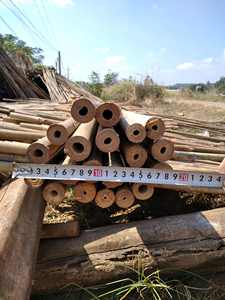 ไม้ไผ่แห้ง ไม้ไผ่ขนาด 5/8-7/8 นิ้ว หนา 5-6 นิ้ว กว้าง 24-92 นิ้ว ขายส่งจากเวียดนาม - Product Image 2