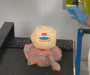 มะพร้าวสดธรรมชาติผลไม้ส้มพรีเมี่ยม - Product Image 6