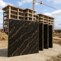 Carreaux et dalles en granit noir naturel Tailles personnalisées et standard pour la construction extérieure à l'échelle mondiale
