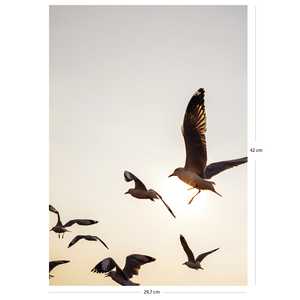 Impresión artística de gaviotas, tamaño DIN A3, diseño único para decoración del hogar - Product Image 2