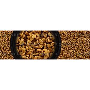 Graines de Bockshornklee BIO 0,13 Kilogramme Production Propre - Product Image 1