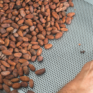 Chất Lượng Cao Indonesia Cao Cấp Forastero Hạt Ca Cao 50 Kg Số Lượng Lớn Xuất Khẩu Cung Cấp Giá Tốt Nhất Toàn Cầu Agro Komoditi - Product Image 4