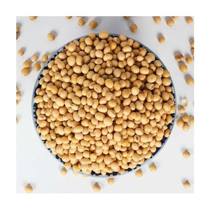 Graines de soja indiennes de qualité supérieure sans OGM naturelles, soja riche en protéines, idéales pour la consommation humaine soja - Product Image 3