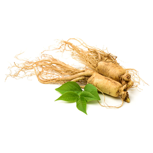 Focusherb Chất lượng cao hữu cơ Panax <span class=keywords><strong>Ginseng</strong></span> chiết xuất từ rễ nhân sâm bột 1% <span class=keywords><strong>ginsenoside</strong></span> - Product Image 2