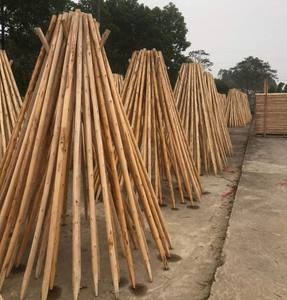 Estacas de madera de alta calidad bajo petición - Product Image 3