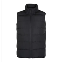 Chaqueta Acolchada Impermeable, Cortavientos, Transpirable y Ecológica de Tallas Grandes para Otoño, Nueva, Venta al por Mayor, Precio de Fábrica, Gran Oferta