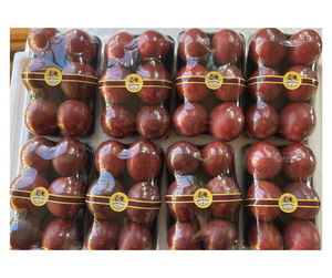 Fruit de la Passion Frais du Vietnam de Qualité Supérieure pour Commandes en Gros - Fruits Naturellement Mûrs pour la Fabrication de Jus et d'Aliments - Product Image 2