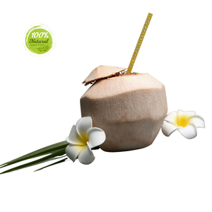 Why Diamond Peeled Coconut Is a <b>Highlight</b> of Vietnamese Cuisine - Product Image 5
