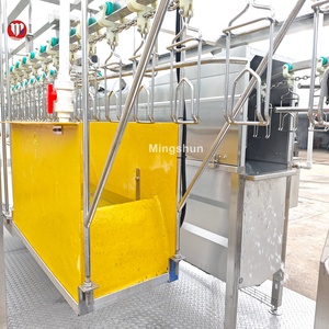 Équipement de Découpe de Poulets Local aux Philippines, Ligne de Production de 300 à 800 Poulets, <span class=keywords><strong>Prix</strong></span> Bas, Aucun Installation Requise - Product Image 3