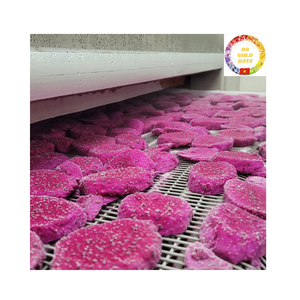 Morceaux de fruits du dragon congelés en gros en vrac du Vietnam meilleur choix pour les distributeurs et les détaillants - Product Image 2