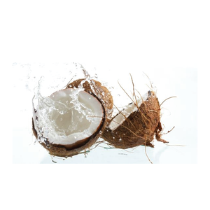 Noix de coco séchée de qualité supérieure: Source Vietnam. Faible quantité minimale de commande. Douceur tropicale. Exportation biologique. - Product Image 3