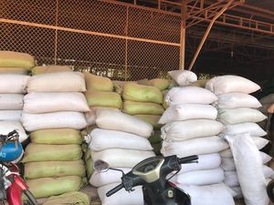 แกลบเม็ดมะม่วงหิมพานต์ส่งออกจากโรงงานเวียดนาม - Product Image 2