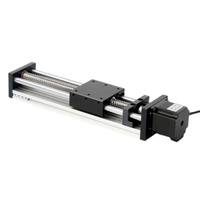 WEEMT Vente en gros Module linéaire à vis à billes à double rail de guidage linéaire GGP pour charge lourde, pour machine CNC et ligne d'emballage