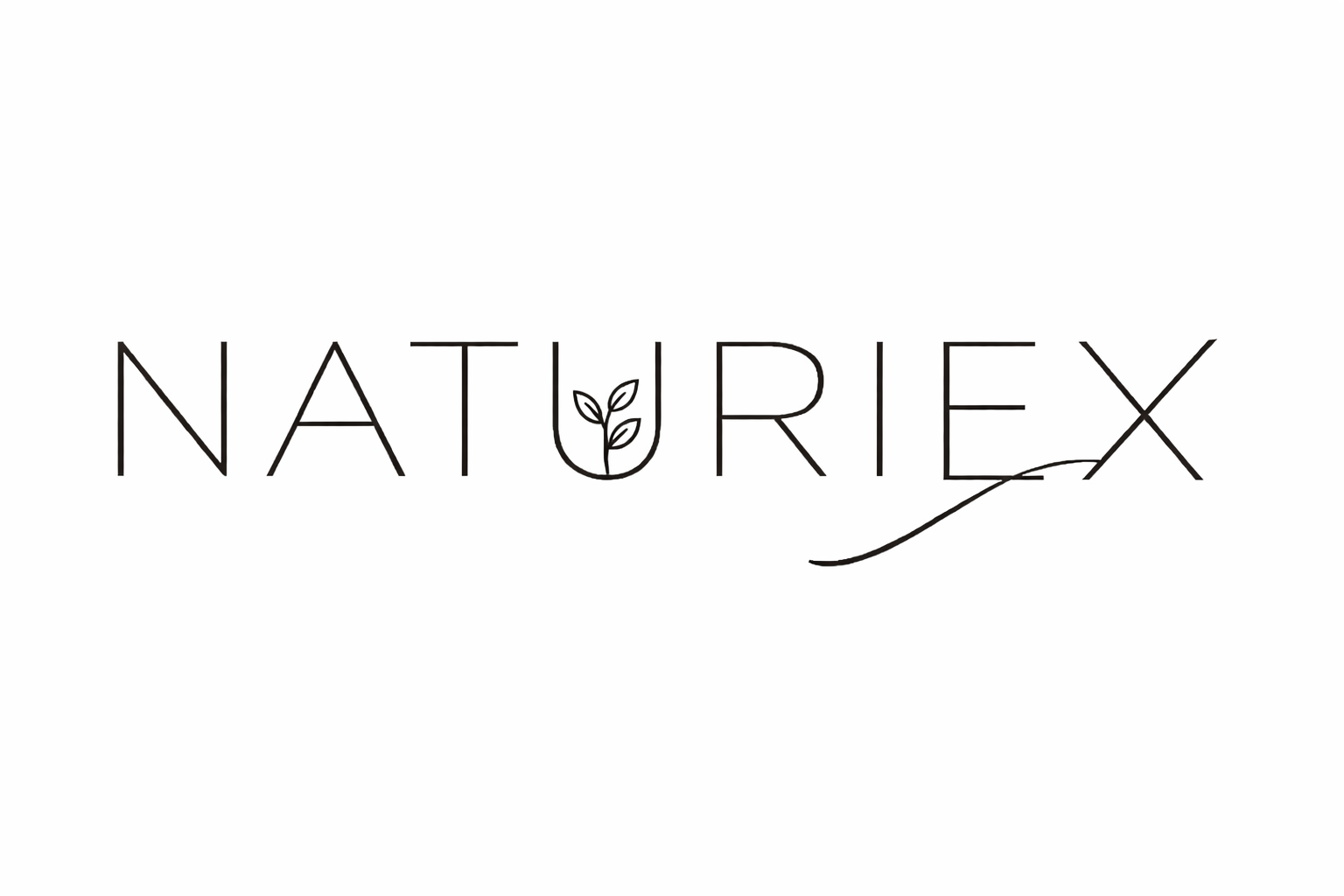Naturiex srl logo