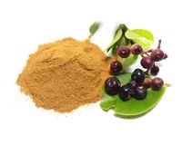 Échantillon gratuit Naturel Jambolana Extrait Poudre Syzygium Cumini Malabar/ Java prune/Jamun Extrait