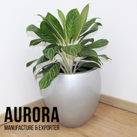 Les Pots de fleurs sont de haute qualité avec un Design de Style moderne et un bon matériau pour l'extérieur ou l'intérieur fabriqué au Vietnam